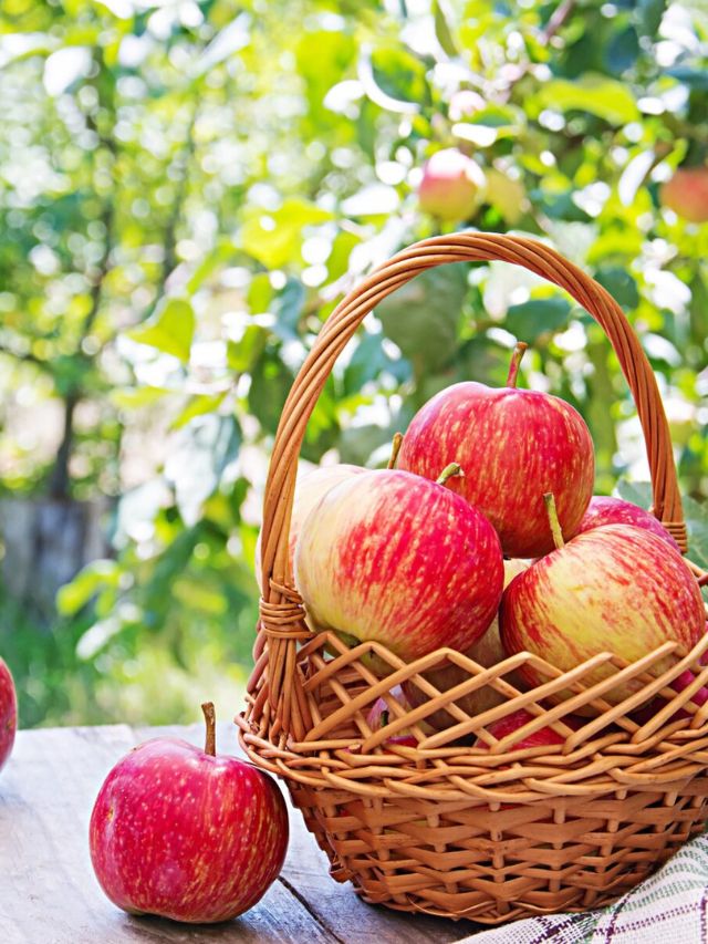 benefits of eating apple daily