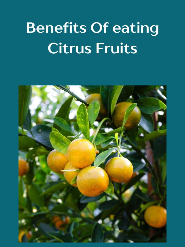 benefits of eating citrus fruits