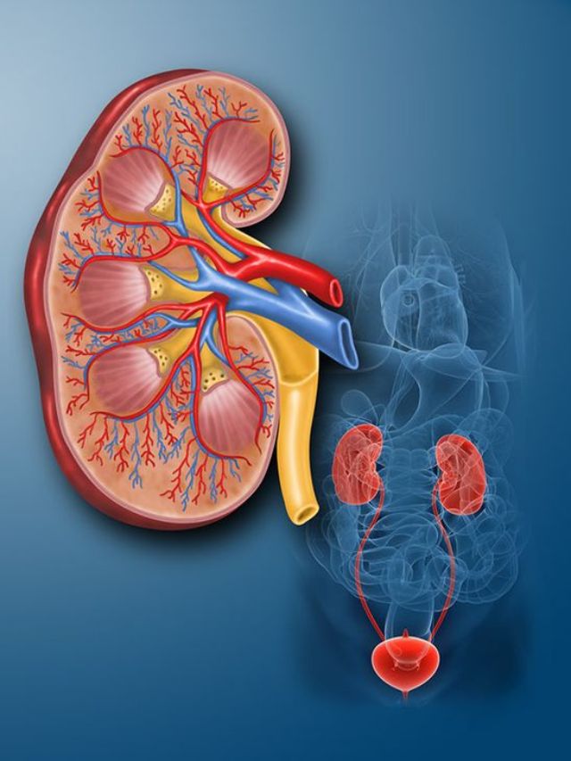 how to use patharchatta for kidney stone