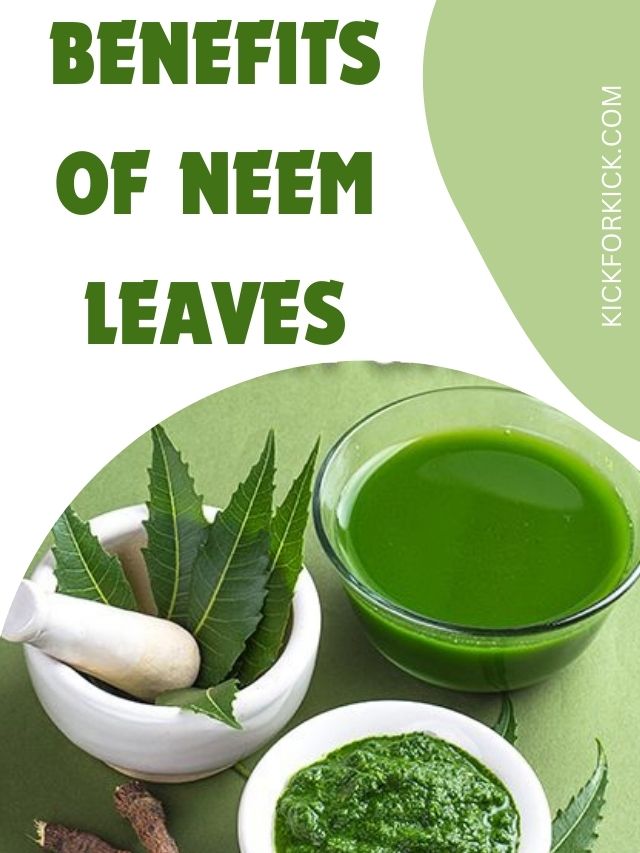 what is the benefits of neem leaves